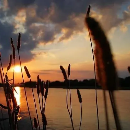 Hotel Junior Family